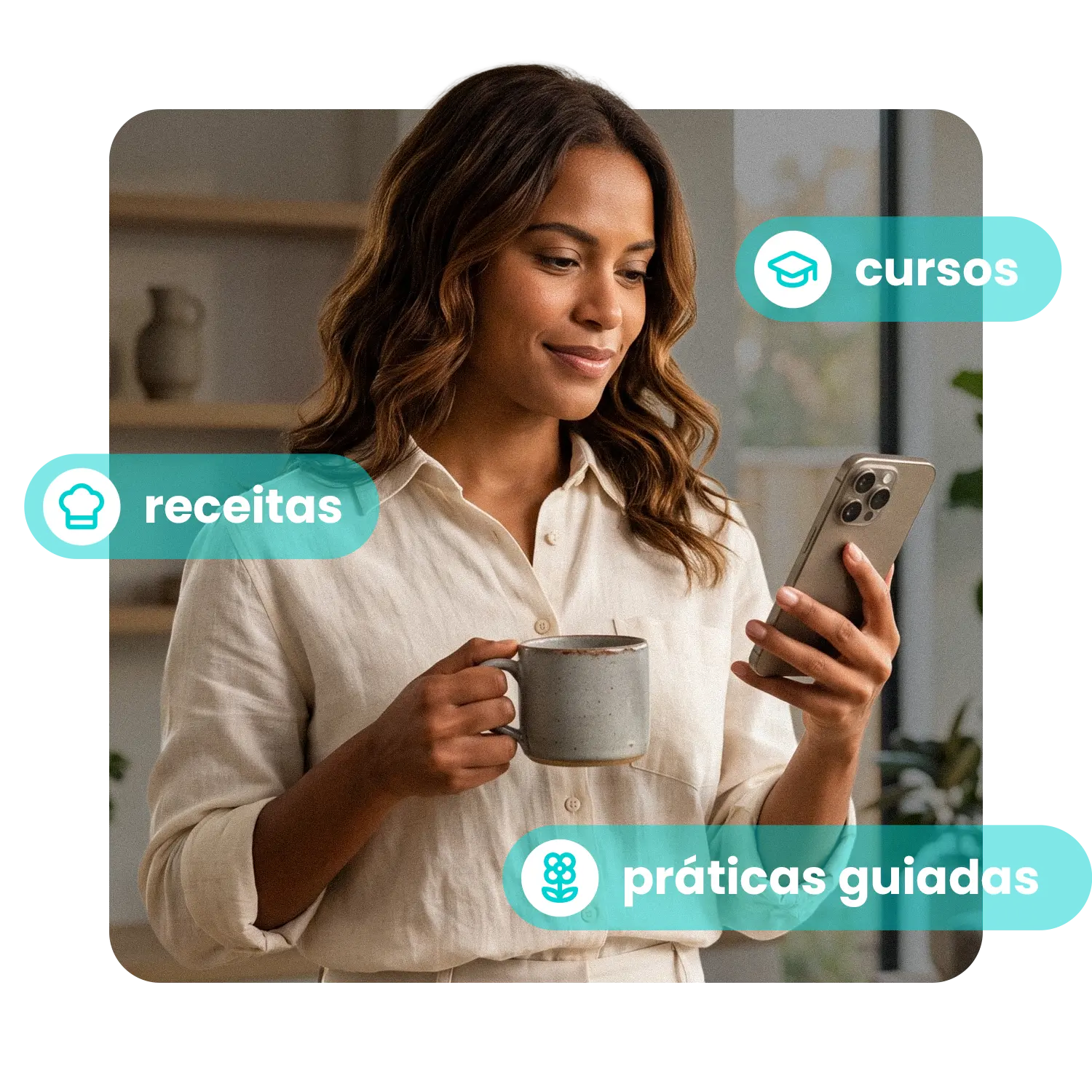 Aulas, Programas e Cursos